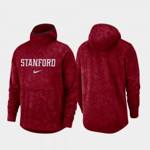 Men's Stanford Cardinal Spotlight Cardinal Basketball Team Logo Pullover Hoodie 779525-581